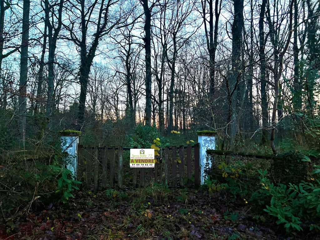 ST-HILAIRE-LES-ANDRESIS ( 45)