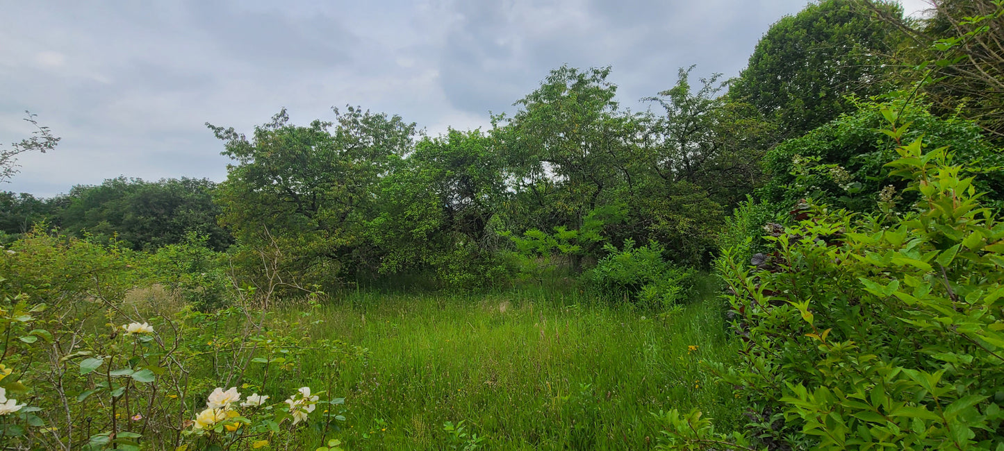 SOUPPES-SUR-LOING