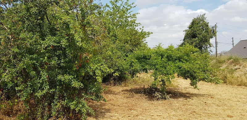 VILLEMARECHAL - BAISSE DE PRIX -