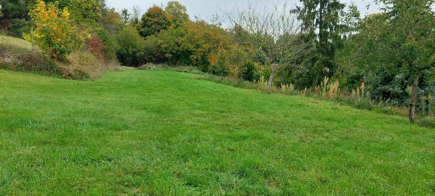 VILLECERF EXCLUSIVITE NOUVEAUTE