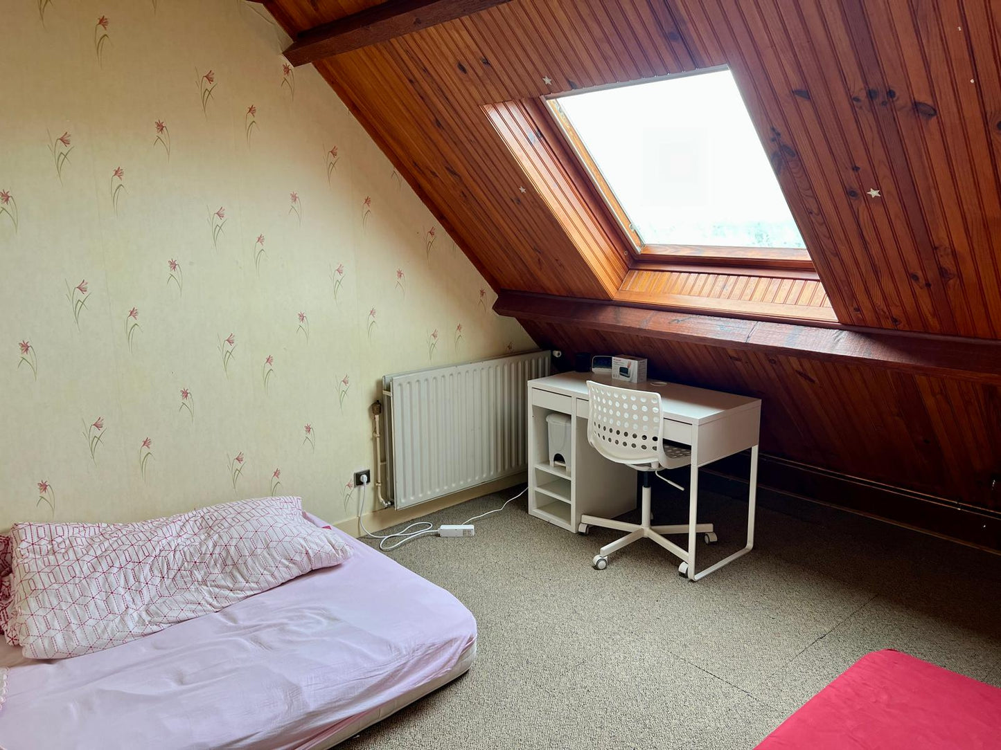 🏡 Maison familiale avec dépendances sur un vaste terrain de 6 772 m² – Briarres-sur-Essonne (45390) EXCLUSIVITÉ