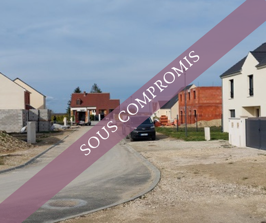 LOTISSEMENT BEAUMONT-DU-GÂTINAIS EXCLUSIVITE