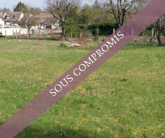 MORET LOING ET ORVANNE PROCHE