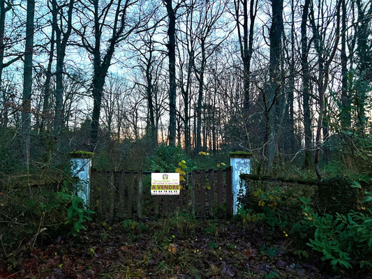 ST-HILAIRE-LES-ANDRESIS ( 45)