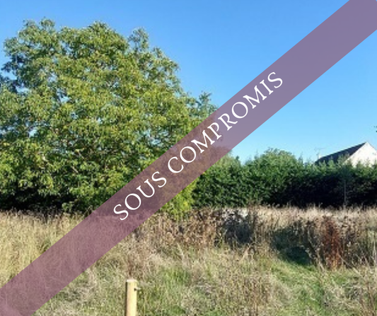 SOUPPES-SUR-LOING EXCLUSIVITE