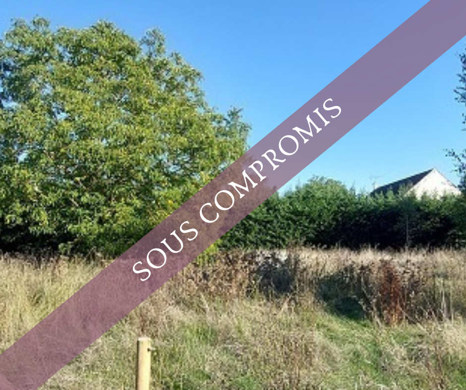 SOUPPES-SUR-LOING EXCLUSIVITE