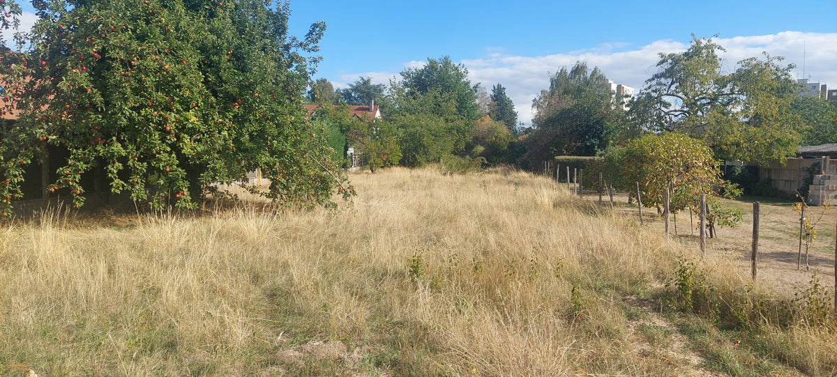 NEMOURS NOUVEAUTE Grand Terrain