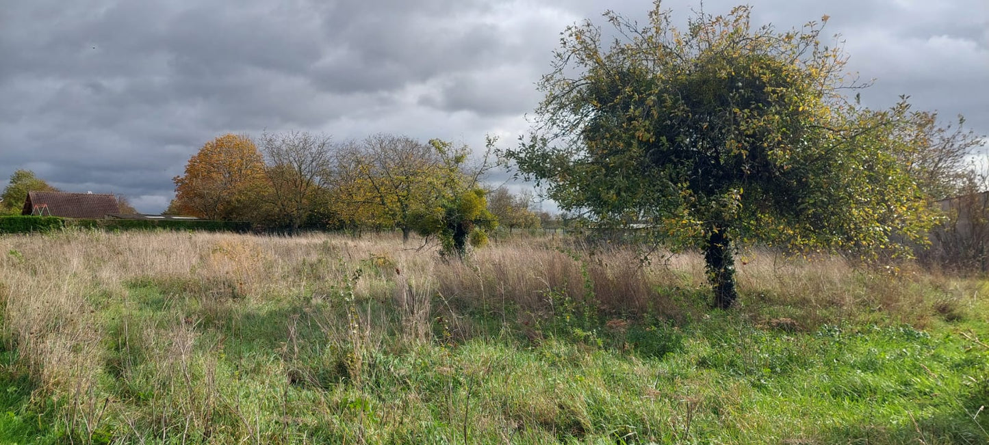 ÉGREVILLE EXCLUSIVITE