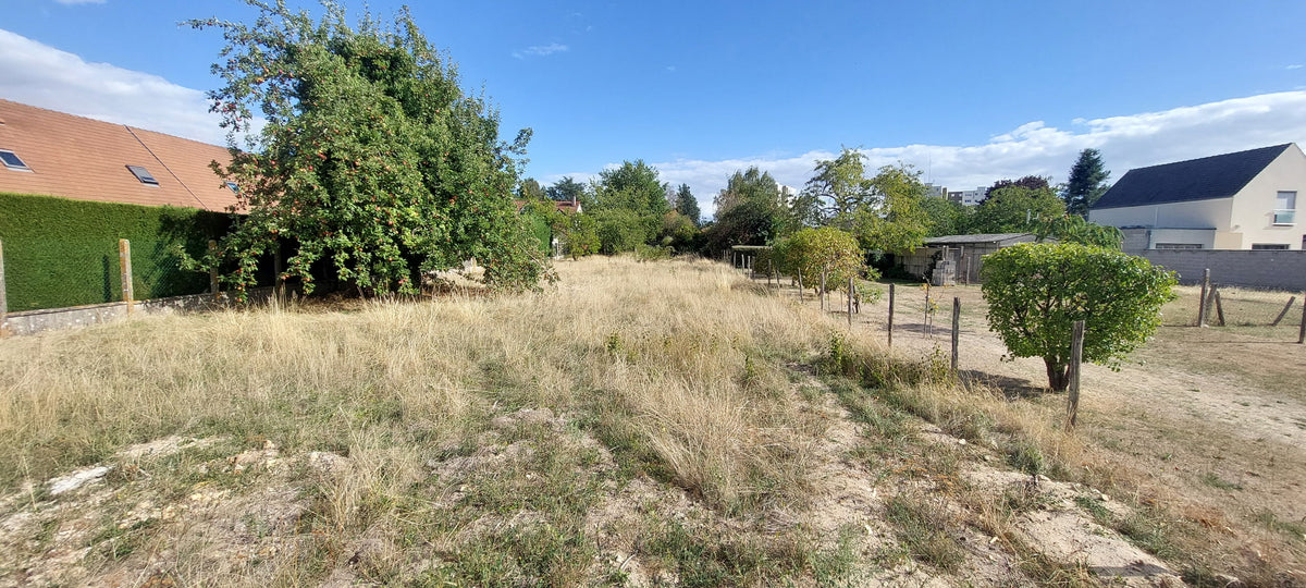 NEMOURS NOUVEAUTE Grand Terrain