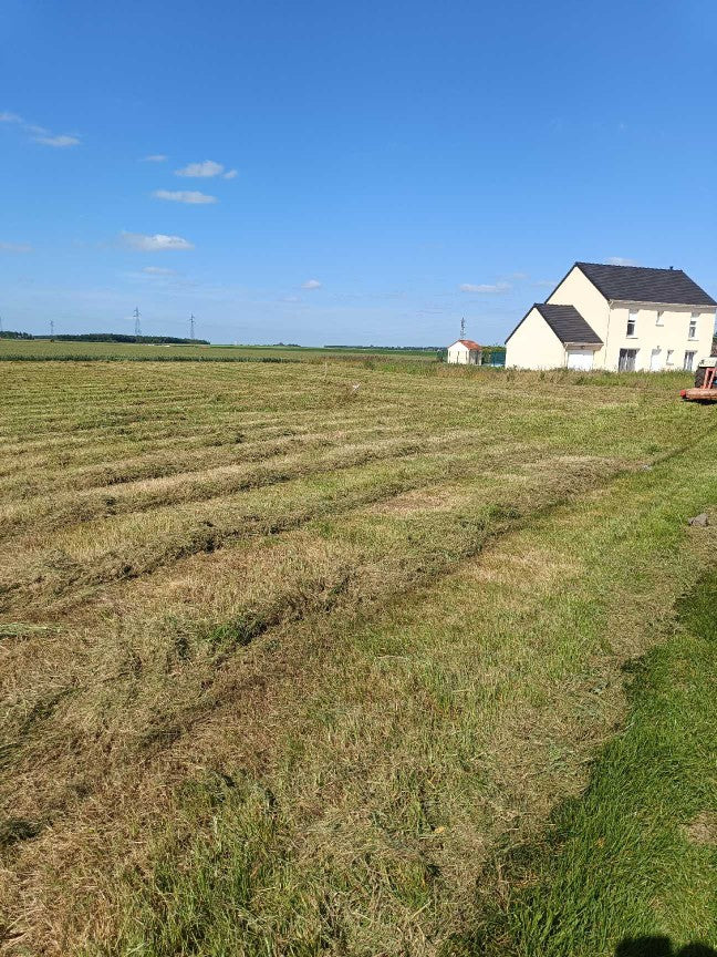 CHÂTEAU-LANDON - NOUVEAUTE