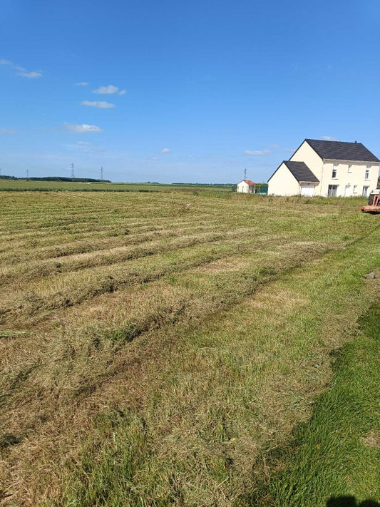 CHÂTEAU-LANDON - NOUVEAUTE